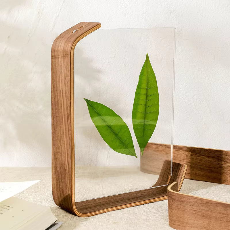 Acrylic Wooden Photo Frame Herbarium Display Frame
