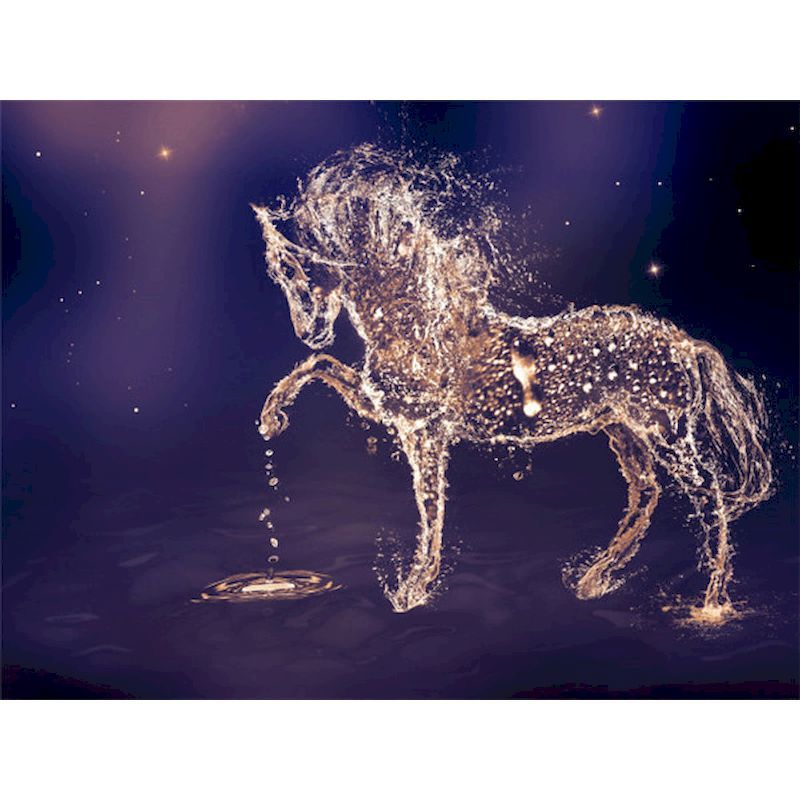 Frameless Oil Painting Flower Landscape Character Animal Photo Decoration