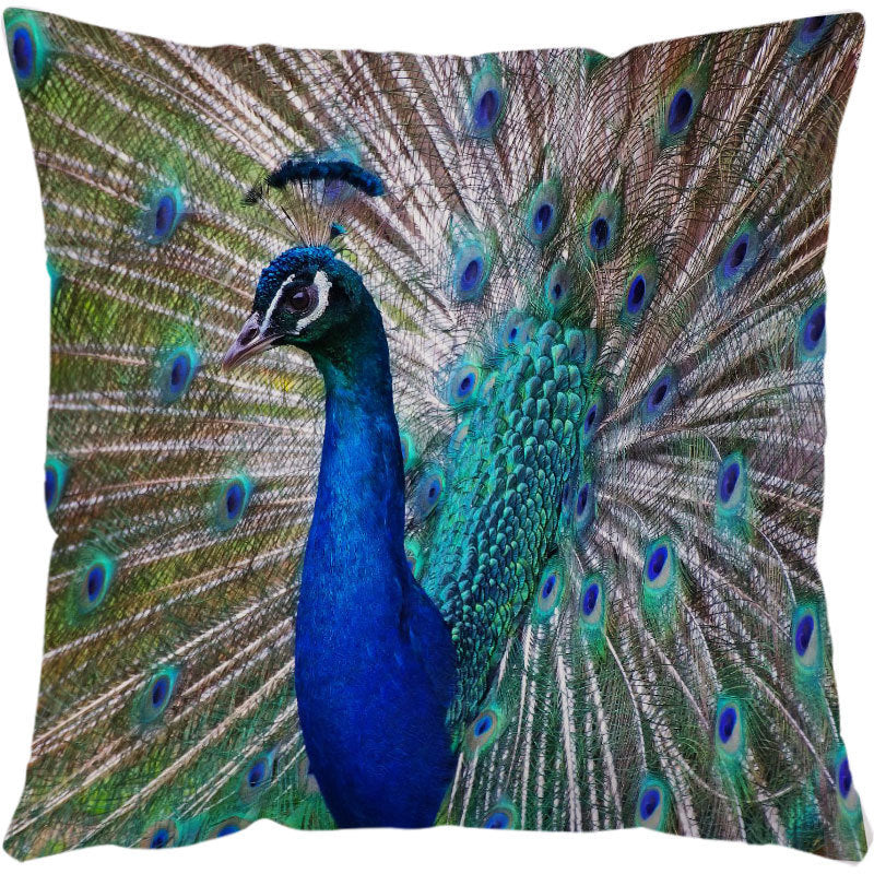Turtle Printed Cushion Cover – 45x45cm | Modern Throw Pillow Case